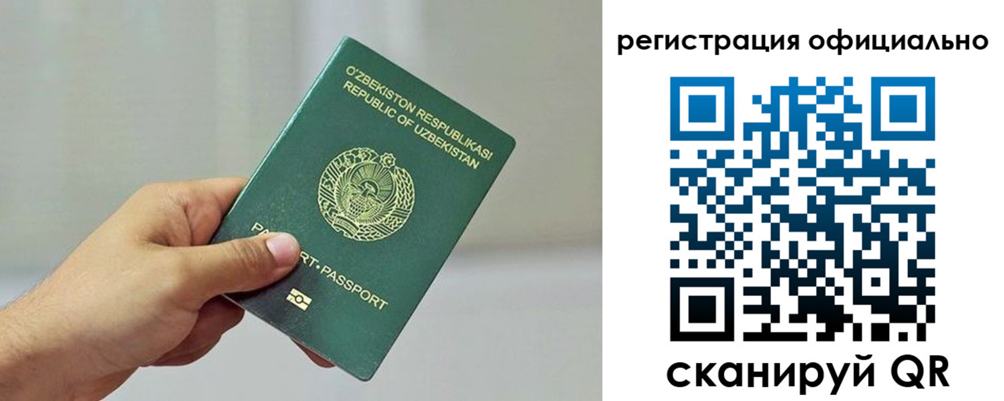 прописка в квартире в Ковдоре