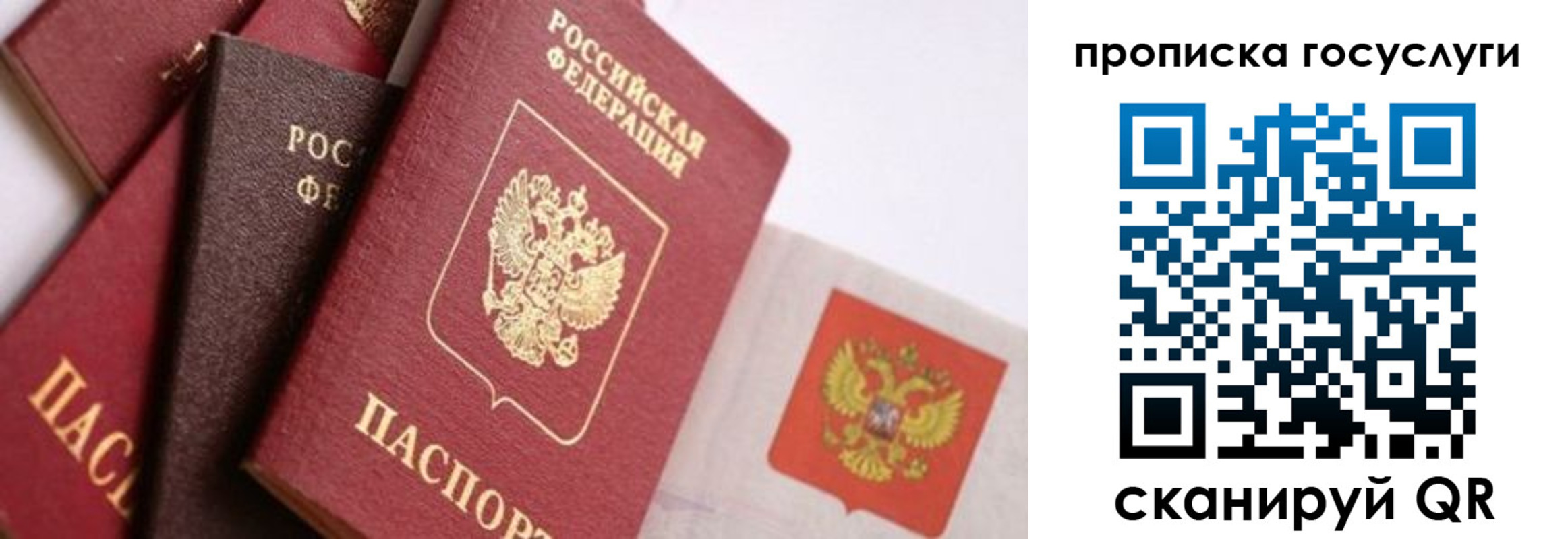 прописка законно в Ковдоре